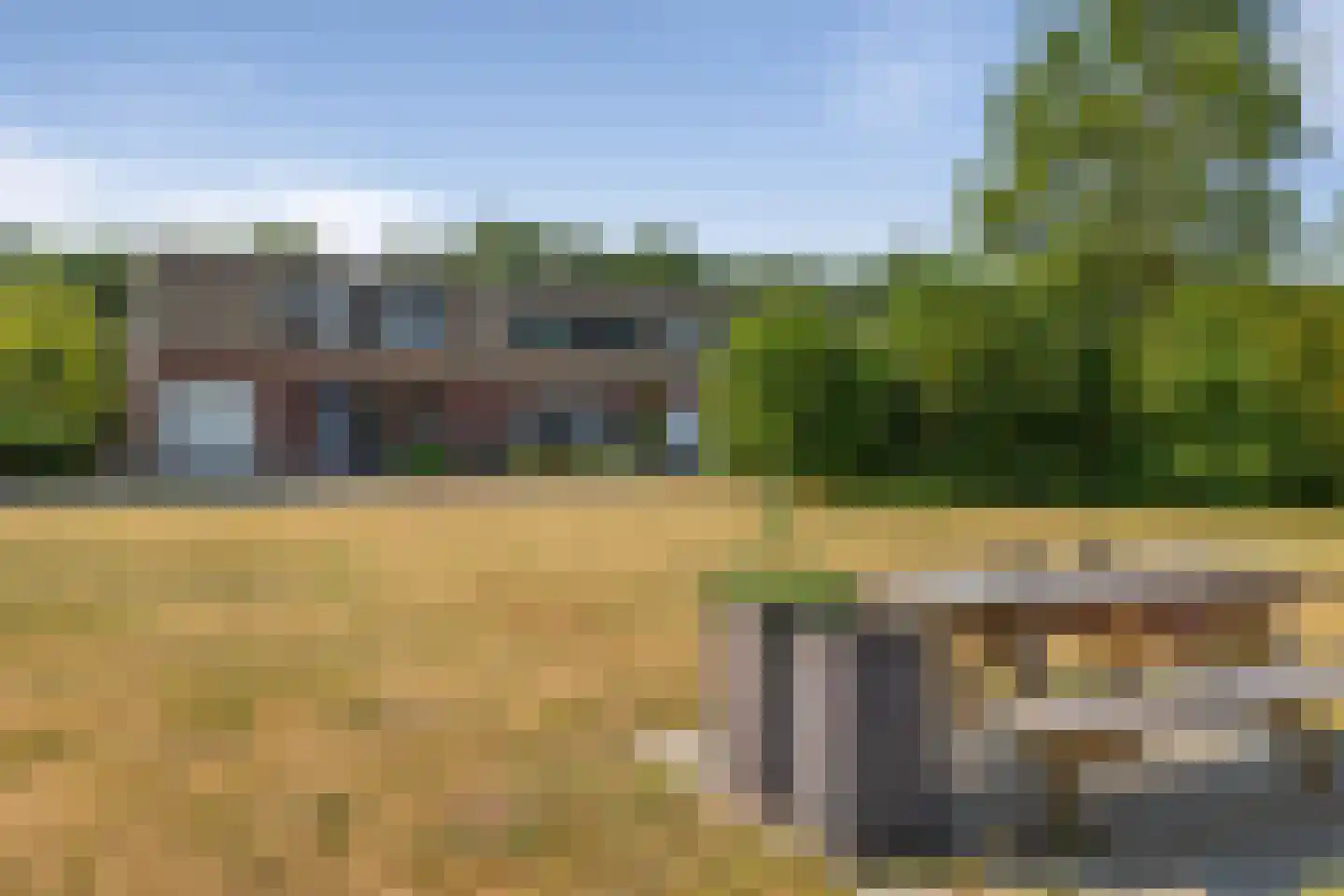 Sneeuwuil 8 Emmen thumbnail 31