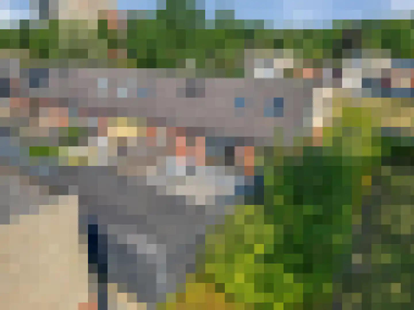 Sneeuwuil 8 Emmen thumbnail 33