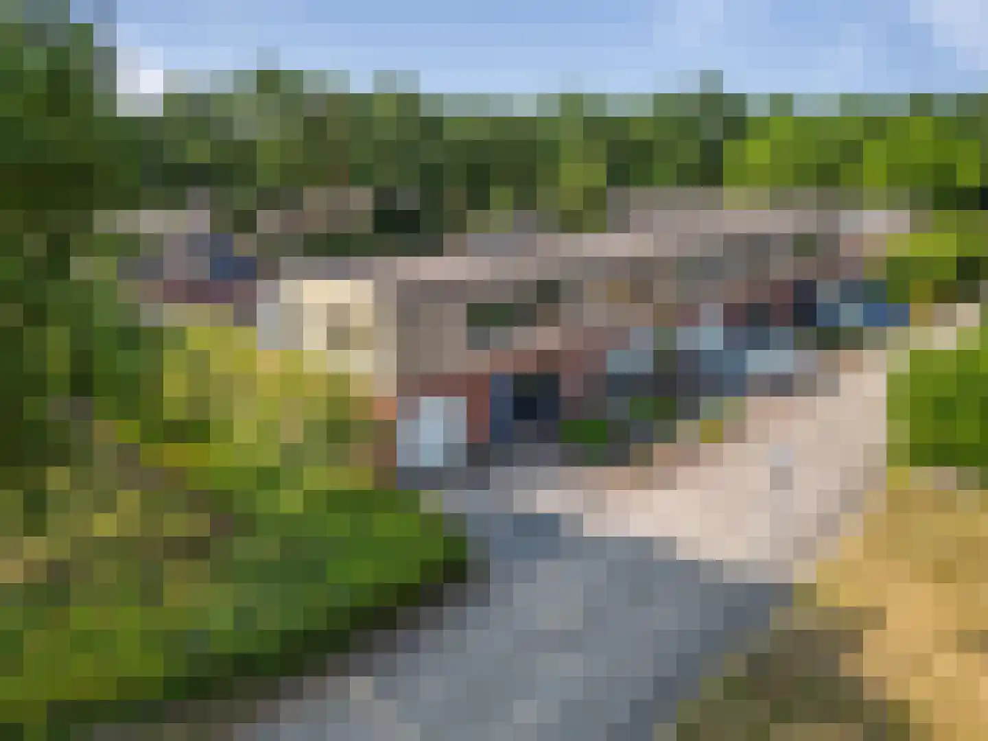 Sneeuwuil 8 Emmen thumbnail 35