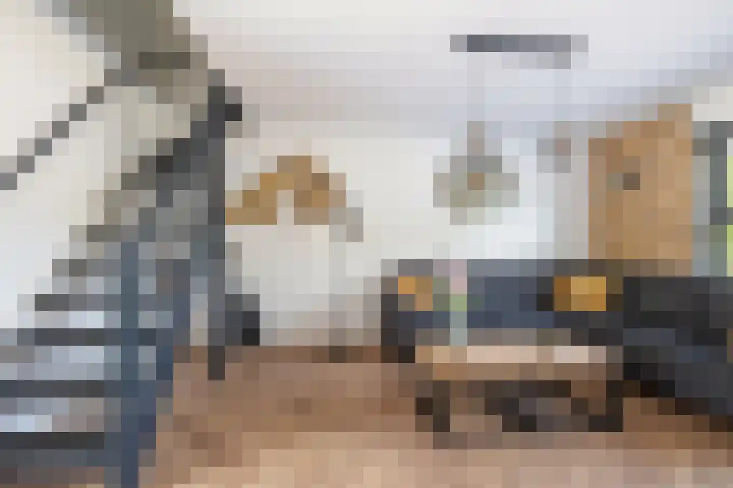 Sneeuwuil 8 Emmen thumbnail 7
