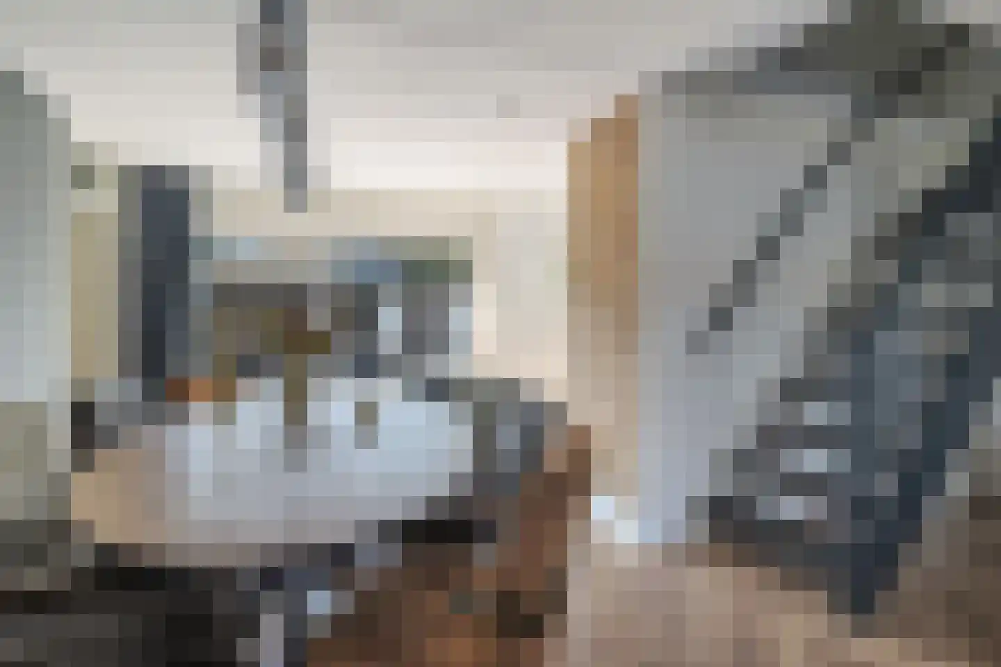 Sneeuwuil 8 Emmen thumbnail 9