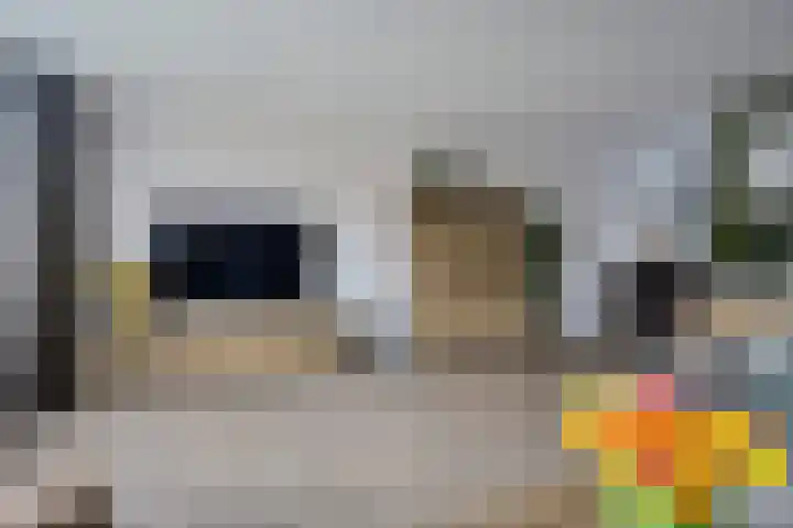 Sneeuwvink 15 Emmen thumbnail 10