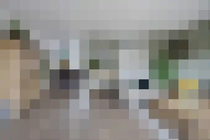 Sneeuwvink 15 Emmen thumbnail 11
