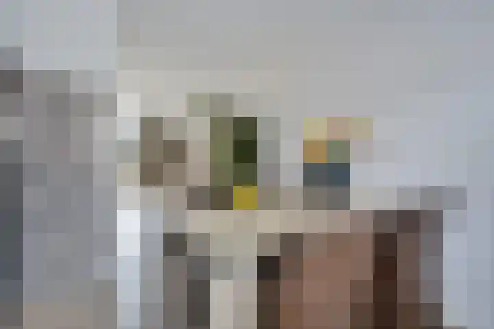 Sneeuwvink 15 Emmen thumbnail 12