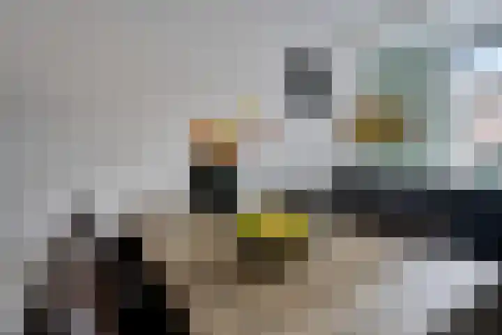 Sneeuwvink 15 Emmen thumbnail 13