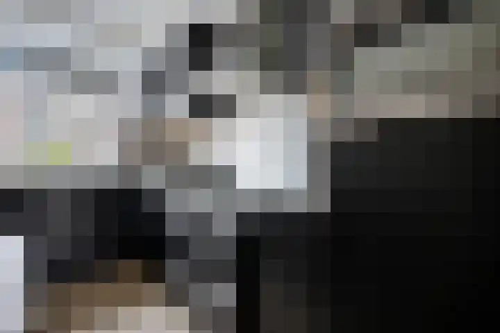 Sneeuwvink 15 Emmen thumbnail 14