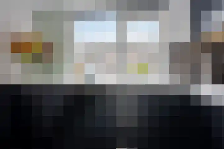Sneeuwvink 15 Emmen thumbnail 15