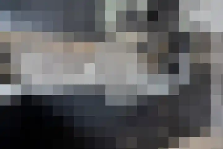 Sneeuwvink 15 Emmen thumbnail 16