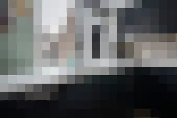 Sneeuwvink 15 Emmen thumbnail 17