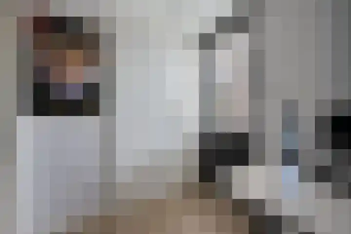 Sneeuwvink 15 Emmen thumbnail 18
