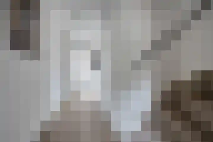 Sneeuwvink 15 Emmen thumbnail 19