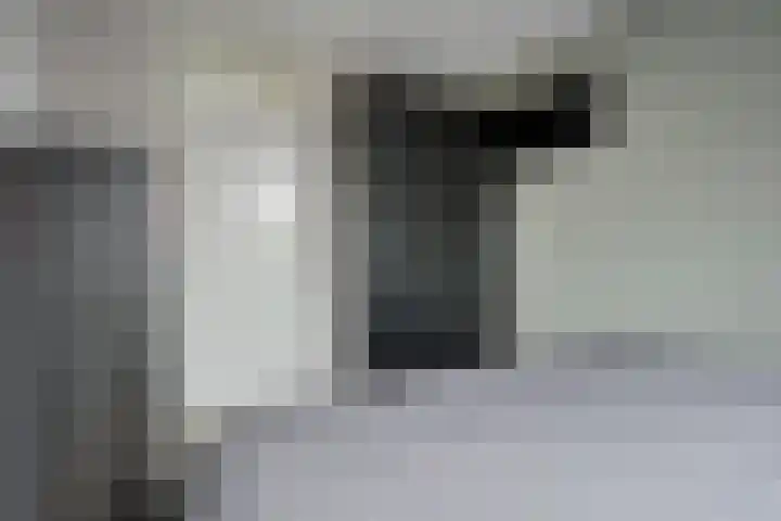 Sneeuwvink 15 Emmen thumbnail 20
