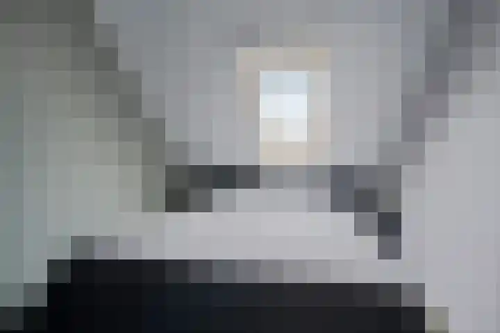 Sneeuwvink 15 Emmen thumbnail 21