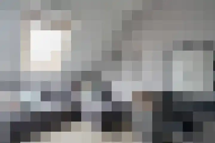 Sneeuwvink 15 Emmen thumbnail 22