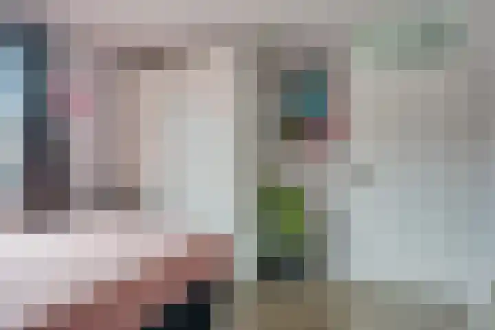 Sneeuwvink 15 Emmen thumbnail 25