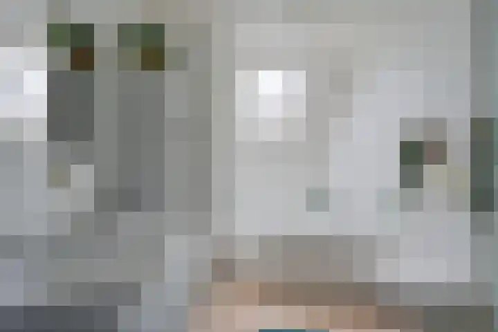 Sneeuwvink 15 Emmen thumbnail 26