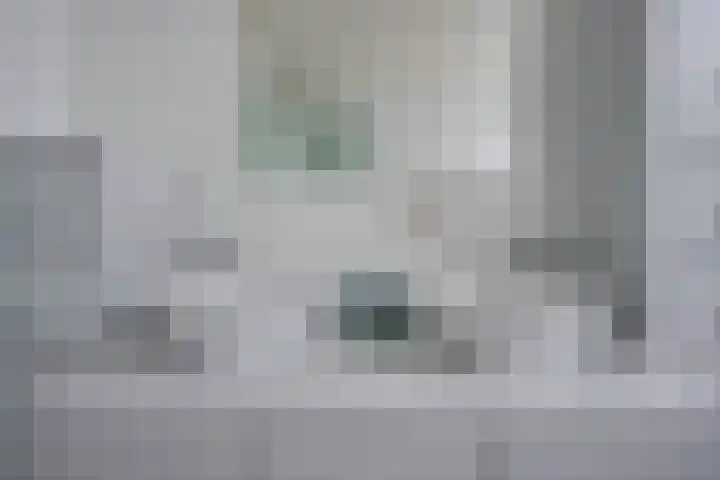 Sneeuwvink 15 Emmen thumbnail 27