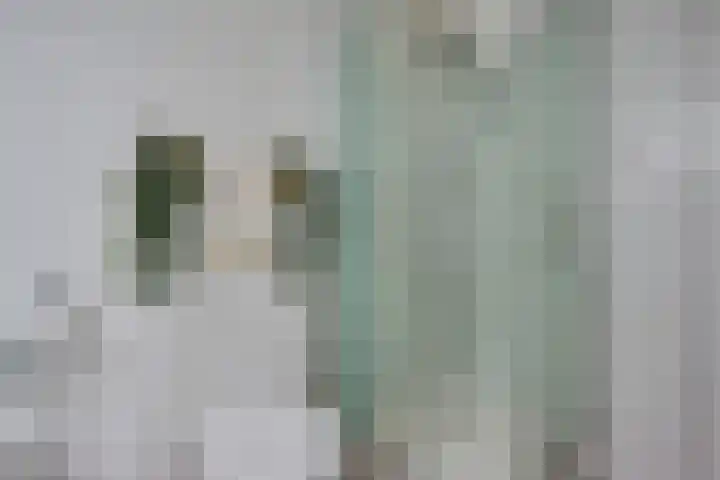 Sneeuwvink 15 Emmen thumbnail 28