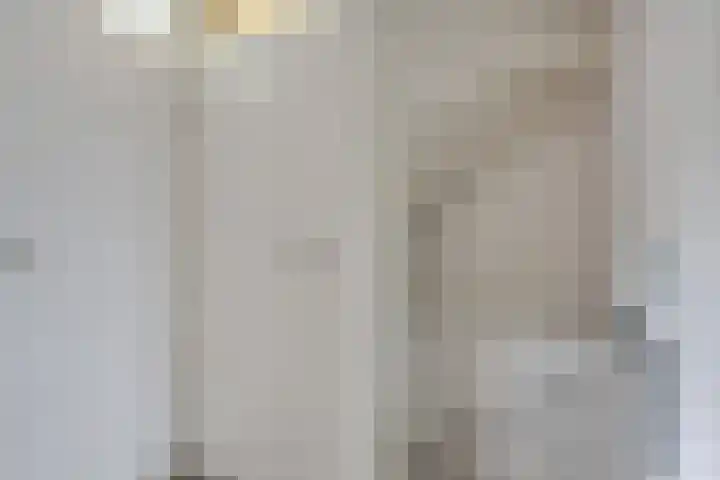 Sneeuwvink 15 Emmen thumbnail 29