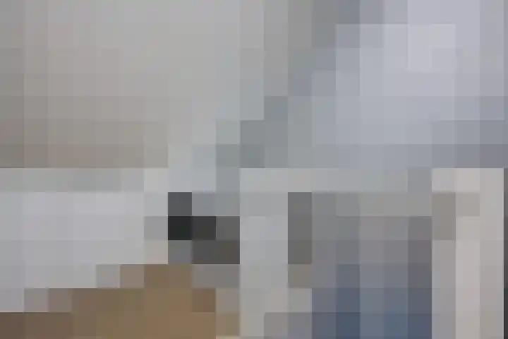 Sneeuwvink 15 Emmen thumbnail 30