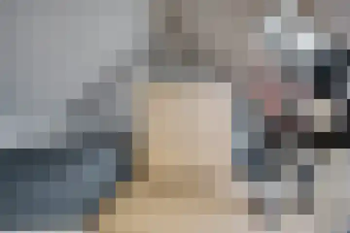 Sneeuwvink 15 Emmen thumbnail 31