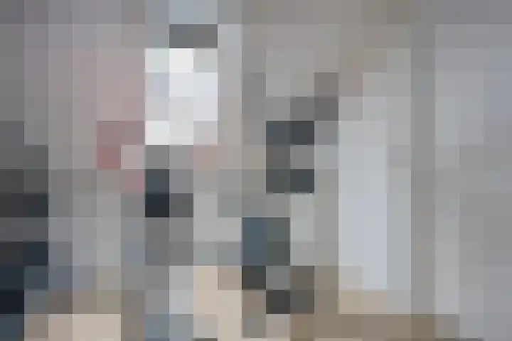 Sneeuwvink 15 Emmen thumbnail 33