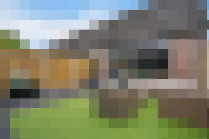 Sneeuwvink 15 Emmen thumbnail 35