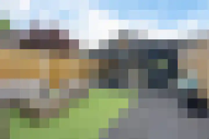 Sneeuwvink 15 Emmen thumbnail 37