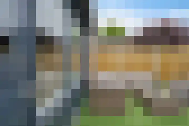 Sneeuwvink 15 Emmen thumbnail 39