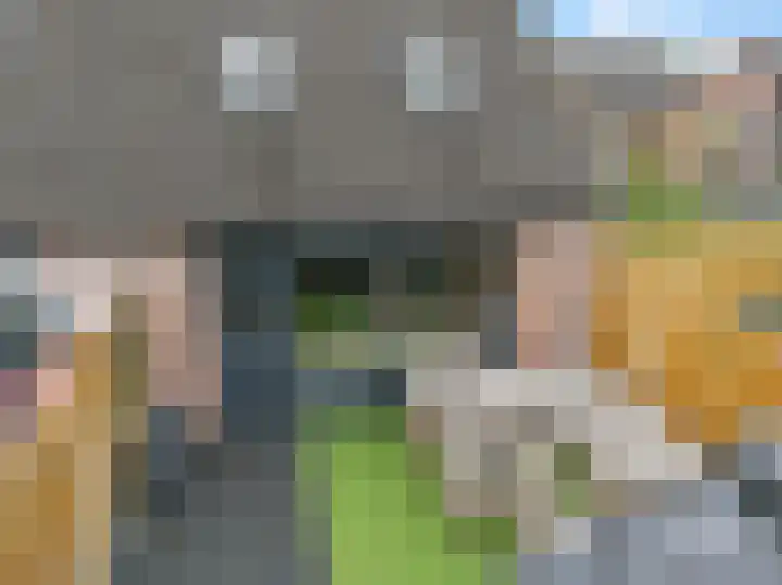Sneeuwvink 15 Emmen thumbnail 40