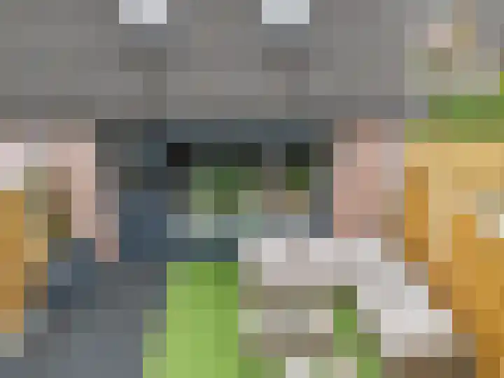 Sneeuwvink 15 Emmen thumbnail 41