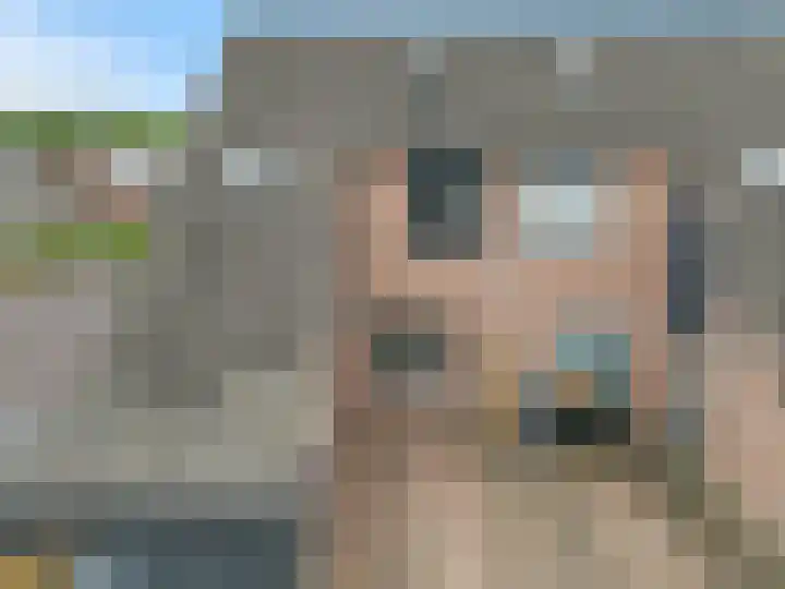 Sneeuwvink 15 Emmen thumbnail 43