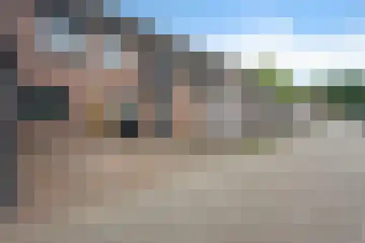 Sneeuwvink 15 Emmen thumbnail 45