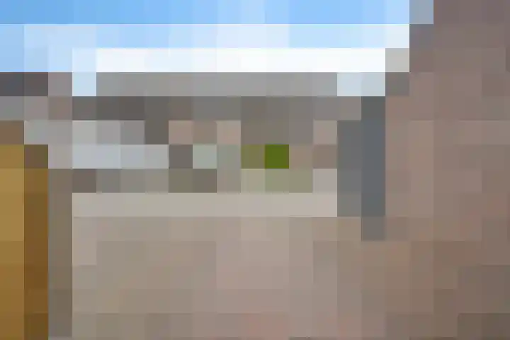 Sneeuwvink 15 Emmen thumbnail 48