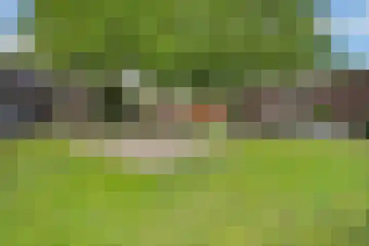 Sneeuwvink 15 Emmen thumbnail 49