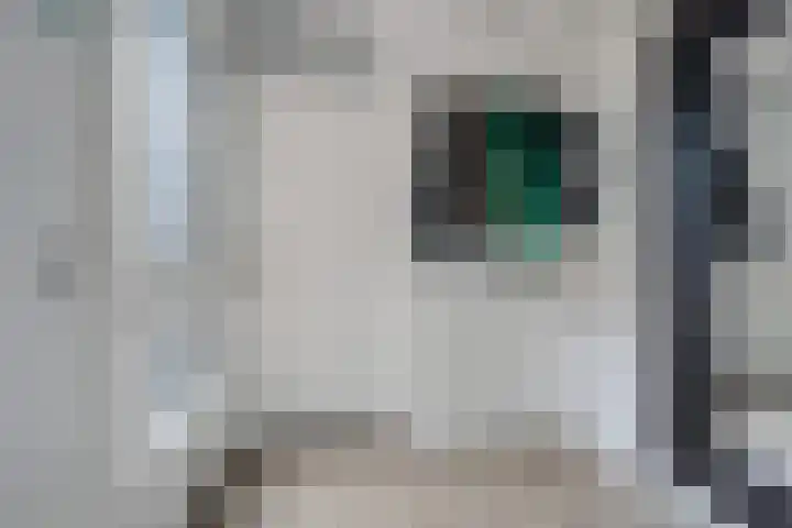 Sneeuwvink 15 Emmen thumbnail 6