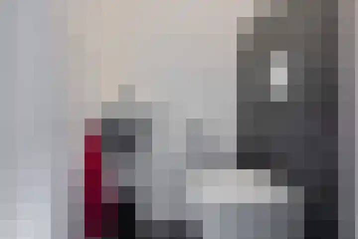 Sneeuwvink 15 Emmen thumbnail 7