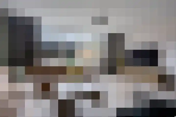 Sneeuwvink 15 Emmen thumbnail 8