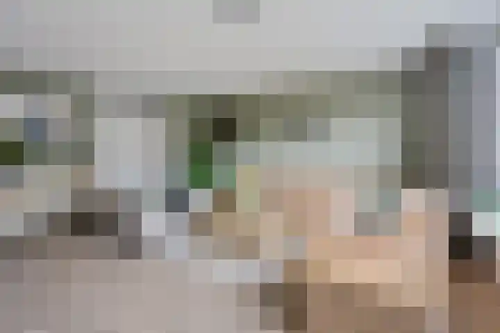 Sneeuwvink 15 Emmen thumbnail 9
