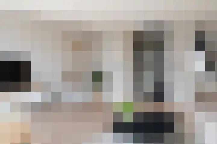 Sneeuwvink 31 Emmen thumbnail 11