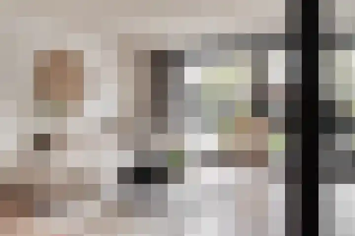 Sneeuwvink 31 Emmen thumbnail 12