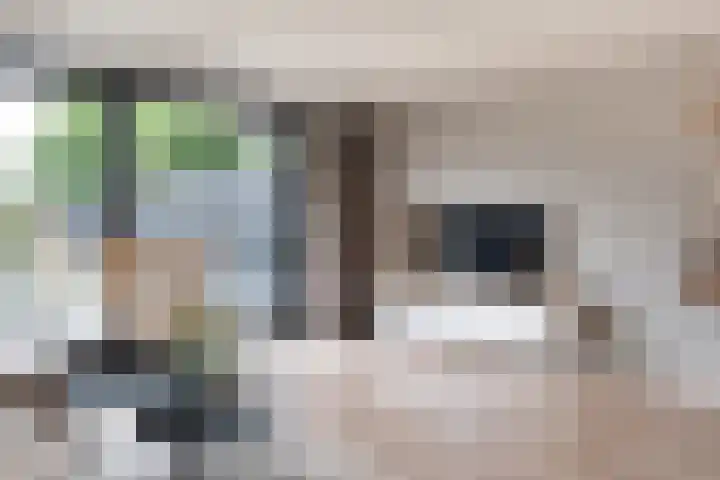 Sneeuwvink 31 Emmen thumbnail 13