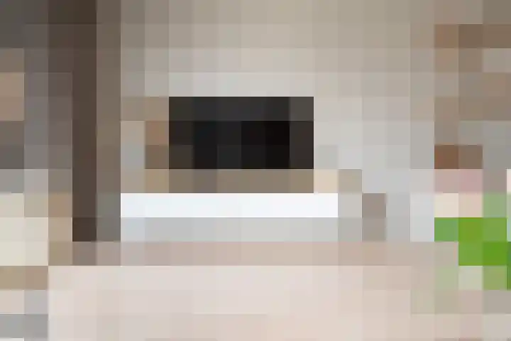 Sneeuwvink 31 Emmen thumbnail 14