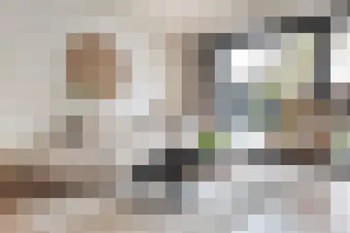 Sneeuwvink 31 Emmen thumbnail 15