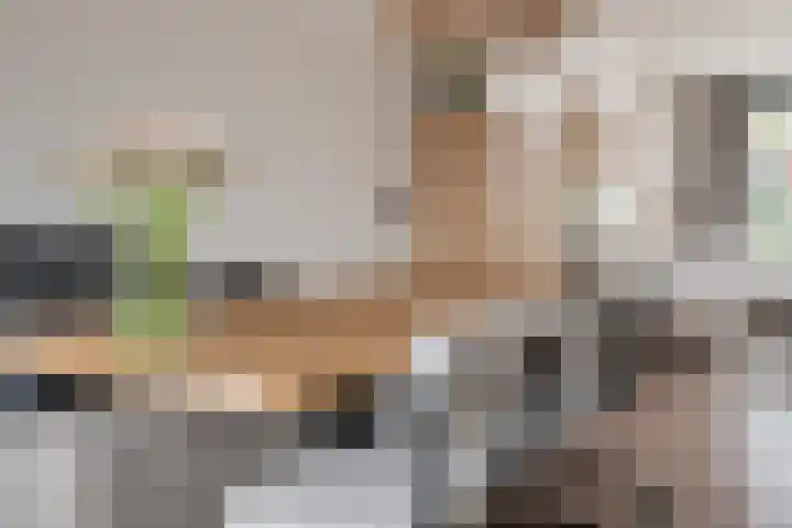 Sneeuwvink 31 Emmen thumbnail 18