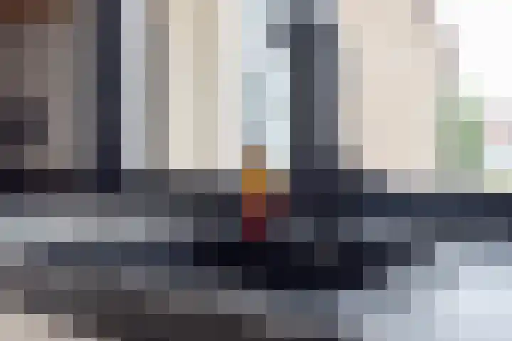 Sneeuwvink 31 Emmen thumbnail 22