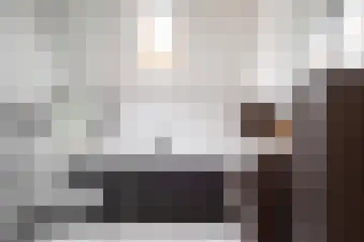 Sneeuwvink 31 Emmen thumbnail 24