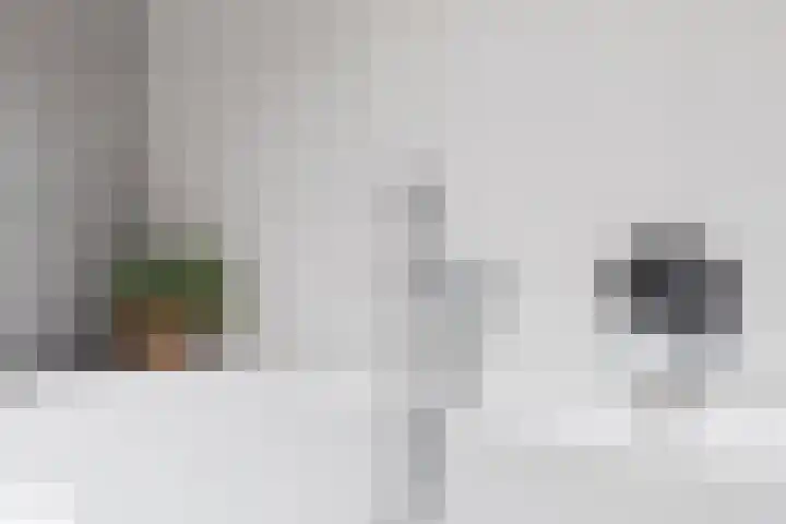 Sneeuwvink 31 Emmen thumbnail 26