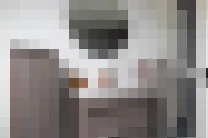 Sneeuwvink 31 Emmen thumbnail 27