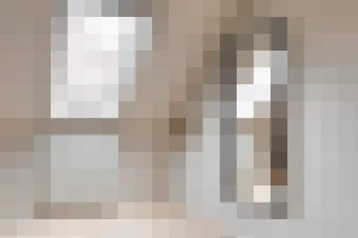 Sneeuwvink 31 Emmen thumbnail 30